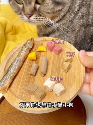 这种鲜肉冻干真的省时又省力,都是精选鲜肉,安全可靠,没时间给毛孩子做饭的,就可以安排这个鲜肉冻干#猫粮 #养猫人 #萌宠好物 #萌宠出道计划 #科学养宠攻略