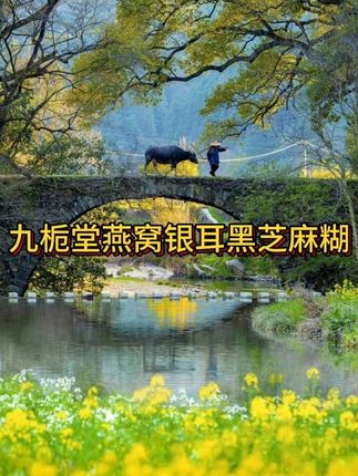 到手四袋还送杯!#黑芝麻糊  #超便宜超划算   #女生必备  #仙女都在喝什么 #好东西一起分享#在抖音入手的好东西 #无限回购的宝藏单品