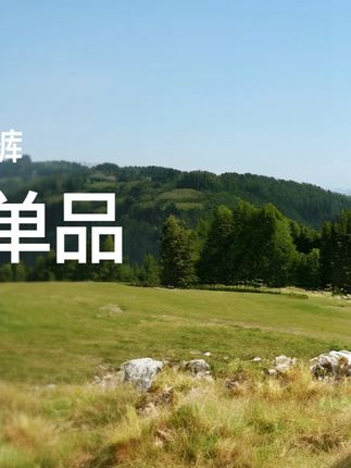 终于挖到了这条秋冬必备保暖显瘦神裤#SIINSIIN微喇裤 #谁穿谁好看 #显瘦穿搭 #百搭裤子 #秋冬穿搭