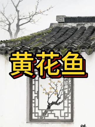 海捕码头新鲜黄花鱼58.8到手4斤,厂家一手货源,福利多多
