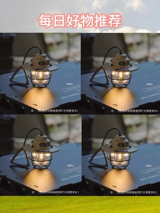 【趣玩吧专属】山趣持久照明露营灯超长续航营地氛围复古露营灯#山趣松果灯 #松果灯 #露营氛围灯 #户外氛围灯 #营地灯