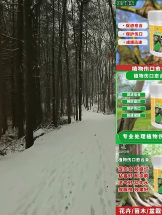 乐众青山【植物伤口愈合膏】人工树皮修剪树桩根封口胶嫁接涂抹剂