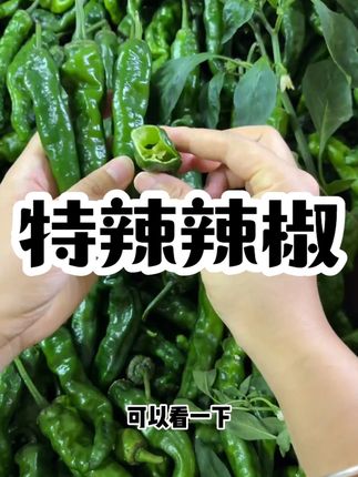 特辣辣椒新鲜青椒:/ 薄皮超辣小皱皮农家自种应季蔬菜现摘2斤 #好物分享 #特辣辣椒 #好吃不贵经济实惠 #立秋开吃啦 #热点宝