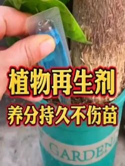 #花卉绿植 #植物再生剂 #浓缩营养液 #爱生活爱养花