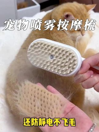 猫狗白色喷雾按摩梳喷雾清洁防飞毛静电不伤猫咪梳子清理器去浮毛 #好物推荐🔥 #超便宜超划算 #宠物美容 #萌宠 #好东西一起分享