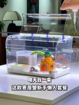 寄居蟹新手懒人套餐儿童礼物亚克力爬宠饲养箱办公室鱼缸造景大气