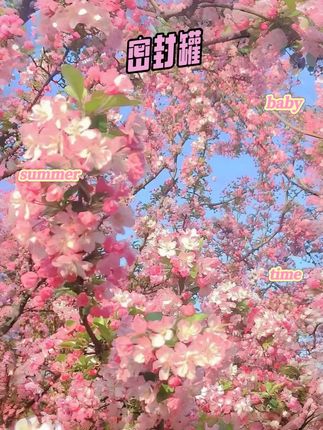 9y15 #密封罐 #玻璃密封罐 #储存罐 #五谷杂粮收纳 #超便宜超划算 mfg y