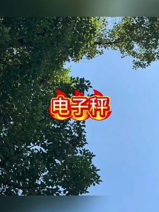 厨房秤家用精准克重电子秤小型烘培食品称重器便携小秤高精度商用#电子秤 #称重 #厨房电子秤 #厨房好物 #秤