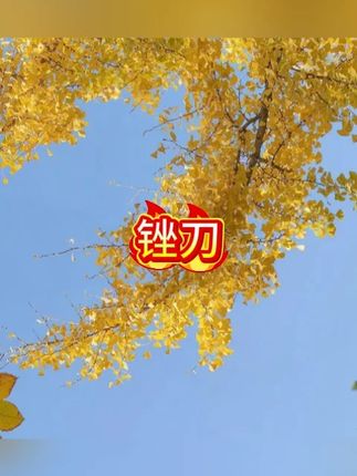 优质整形锉刀耐磨小锉刀高硬度锋利锉刀4x160(8支装)#木工工具 #木工好帮手 #木工机械设备 #装修工具 #工具