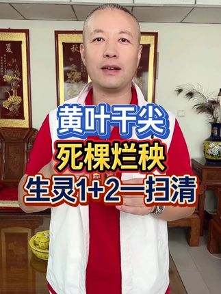 黄叶干尖 死棵烂秧 生灵1+2一扫清#三农 #农业 #农民 #种植小技巧