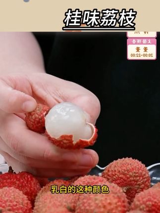 广东老树桂味荔枝新鲜应季水果#桂味荔枝 #桂味荔枝上市了 #桂味荔枝熟了 #荔枝 #荔枝熟了