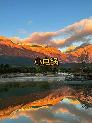 【厂家直营】多功能电煮锅迷你小火锅家用电锅宿舍小电锅小锅1.8L