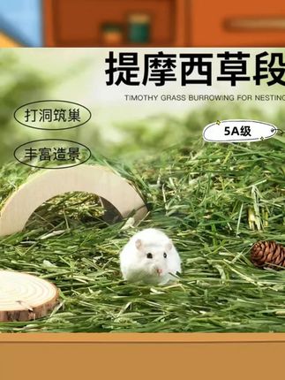 小宠天然花草垫料提摩西草段仓鼠除臭木屑造景装饰金丝熊筑巢木丝 #趣味养宠 #萌宠日记 #养宠装备
