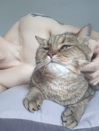 猫师傅挑衅一下 #薄肌 #冷白皮 #撸猫第一视角 #猫咪的迷惑行为 #狸花猫