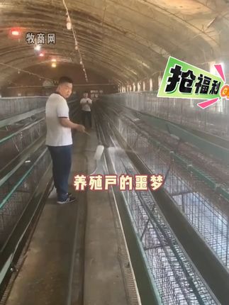 为什么说要用过硫酸氢钾消毒?# 家禽养殖#鸡鸭鹅养殖#养殖#养鸡人#牧商网过硫