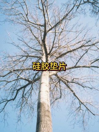 车门贴上这个减震垫片,关门能起到缓冲#车门减震垫 #防震垫 #汽车好物 #汽车用品#抖音美好丰收节 #在抖音入手的好东西 #无限回购的宝藏单品