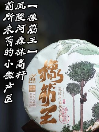 前所未有的惊喜,现货可不多凤陵河【橡筋王】#召唤茶友 #爱喝茶的关注我 #古树茶