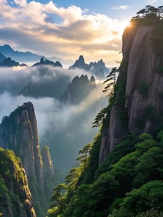 鞋子刷不干净还累手?来试试这个多功能鞋刷,刷毛又厚又密实#家务优等生  #刷鞋子  #大扫除神器