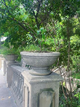 电脑椅椅子书房靠背办公椅舒适宿舍卧室电竞家用懒人椅化妆椅转椅