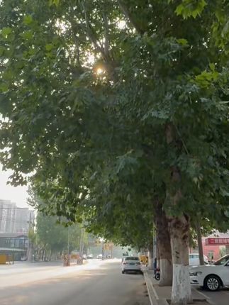 玫乐发饰复古咖色珠珠高颜值流行新款大号发夹刘海女生氛围感#发饰 #发夹 #大号发夹 #高颜值发夹 #女生发夹