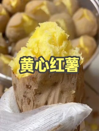 甘肃定西粗麻皮黄心土豆真的巨粉巨好吃,可以加工成各种各样的美食#甘肃定西土豆 #定西土豆 #黄心土豆 #沙面土豆 #洋芋