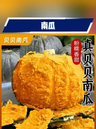 #南瓜 #贝贝南瓜 #新鲜南瓜 #辅食南瓜 #南瓜推荐 F内蒙沙地贝贝瓜粉糯香甜,现摘现发(产地直发)