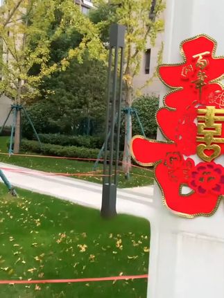 植绒硬卡喜字绝了!贴婚房大门大气,男女方用,长辈都夸好#婚庆用品 #婚房装饰 #备婚攻略