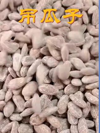 2025 新吊瓜子!大颗粒正宗古法味,酥脆好吃超解馋,美味零食非瓜蒌子~#大颗粒 #正宗古法味 #酥脆好吃