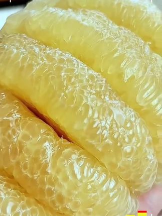 百年老树蜜柚原汁原味,好吃到停不下来!