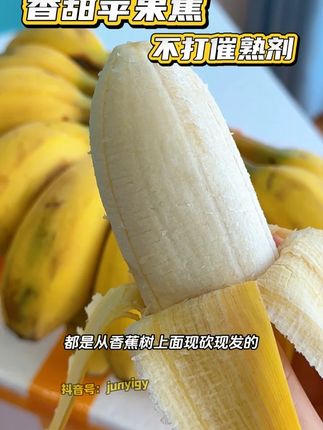胖嘟嘟的自然熟香蕉,独特的外形和口感,让它成为了水果界的宠儿。无论是作为日常的小零食,还是搭配早餐、下午茶,都十分合适。咬上一口,甜蜜在舌尖绽放,心情也跟着变得明媚起来#好吃到停不下来 #现摘现发新鲜到家 #香蕉