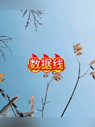 倍思数据线20W快充适用于苹果16充电typec液态硅胶柔软iPhone17#数据线 #数据线保护套 #充电器 #苹果充电器 #苹果充电器推荐