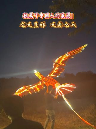 独属于中国人的浪漫!龙凤呈祥 凤舞九天 #无人机 #表演无人机 #无人机演出