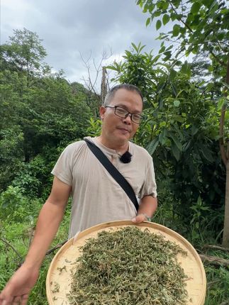 知道可以干嘛用的吗? #植物科普 #潮汕人 #潮汕话 #你见过这种植物吗 #三农