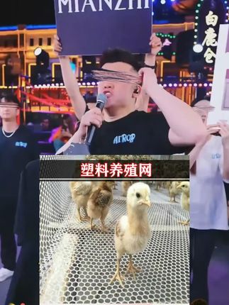 阳台防护网阳台坠落防盗窗掉落网窗户防护网防盗网晾晒网防猫网 #防护网 #塑料防护网 #防掉落防护网 #防盗网 #防护网推荐