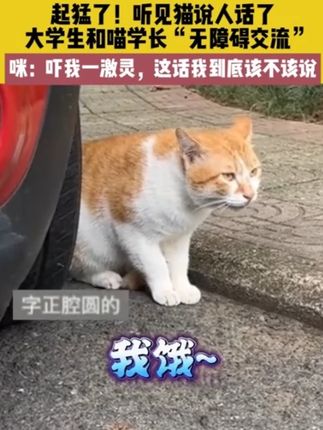 【时光学】幼儿全脑开发1200题 儿童益智早教书2-6岁智力思维训练#启蒙早教 #幼小衔接 #培养孩子好习惯 #儿童益智 #专注力培养