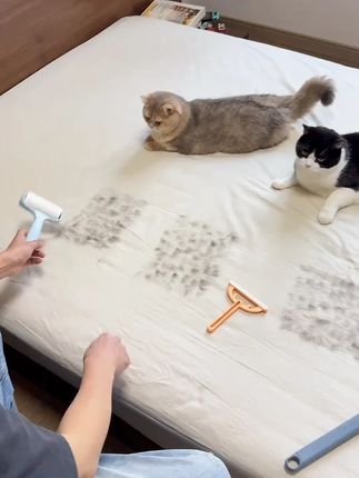 选对粘毛工具真的很重要#萌宠好物 #猫毛解决方案 #刷毛器
