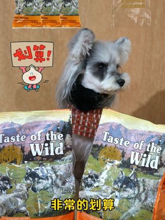 狗粮选的好,长肉没烦恼 #狗粮推荐 #荒野盛宴狗粮