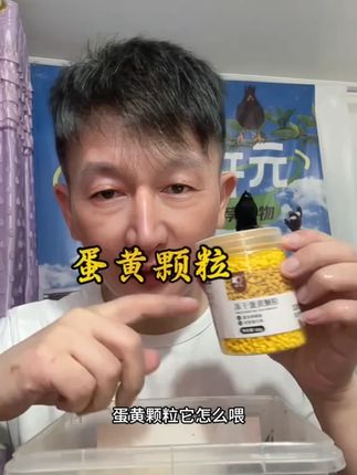 蛋黄颗粒鹦鹉八哥画眉乌鸫喜鹊零食 蛋黄颗粒可泡吃也可直接吃