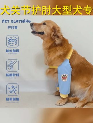 狗狗关节护肘衣,中大型犬福音,边牧 金毛 阿拉斯加 拉布拉多适用,护肘套守护,运动无忧!狗狗们的守护者,给爱犬最贴心的关怀! #中大型犬护肘套 # # #拉布拉多护肘套 #萌宠推荐官