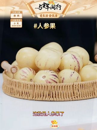 云南石林人参果树上熟黄肉圆果清甜多汁#人参果 #人参果推荐 #云南人参果 #新鲜水果 #好物推荐