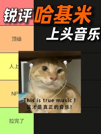锐评那些上头洗脑的哈基米之歌#哈基米 #哈基米音乐#哈基米之歌 #耄耋 #圆头耄耋