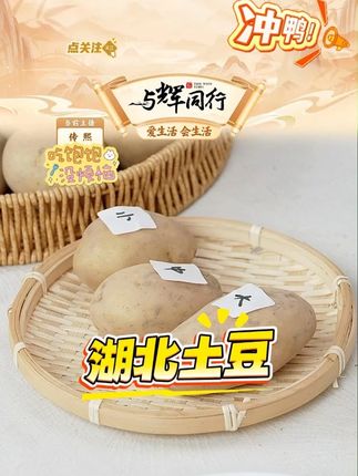 恩施黄心小土豆呀新鲜现挖3/5/9斤迷你马铃薯洋芋#恩施黄心小土豆 #土豆 #土豆的神仙吃法