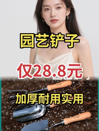 家用高端园艺铲!种花种菜除草挖野菜超便捷#园艺好物 #实用工具 #户外小帮手