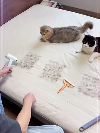 刷毛器粘猫毛狗毛清理宠物家用刷去床上宠物毛发可水洗可重复使用   #粘毛器  #可反复使用粘毛器  #萌宠好物 #好物