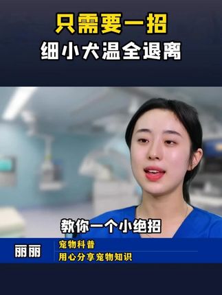 教你一招,狗狗犬温细小全退离#狗狗 #新手养狗 #养狗经验分享 #科学养狗攻略 #狗是人类最忠诚的朋友