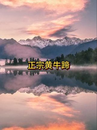 牛蹄筋