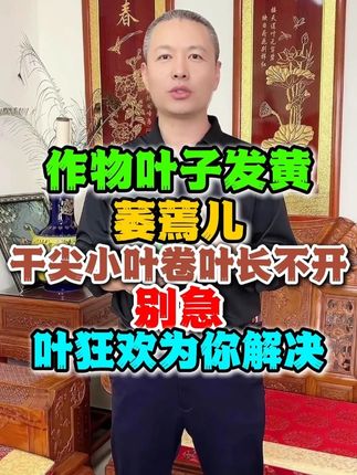作物叶子发黄萎蔫,别急,叶狂欢为你解决