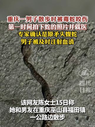 重庆一男子散步时被毒蛇咬伤,第一时间拍下蛇的照片并就医