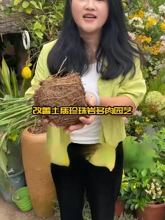 改善土质珍珠岩多肉园艺颗粒兰花植料小兰花多肉珍珠岩养花专用