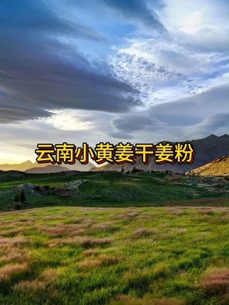 云南小黄姜干姜粉,姜香浓辣,营养丰富,炒菜,泡水都可以#干姜粉  #姜  #小黄姜 #男士神仙单品 #在抖音入手的好东西